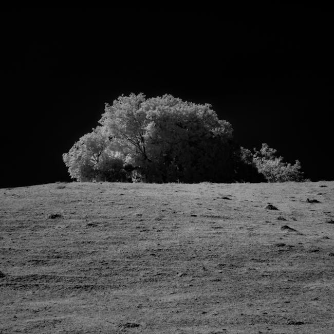 Beurer Infrared Thermometer