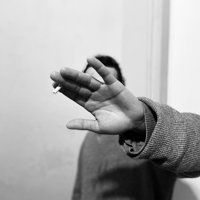 Britax B-Ready Stroller