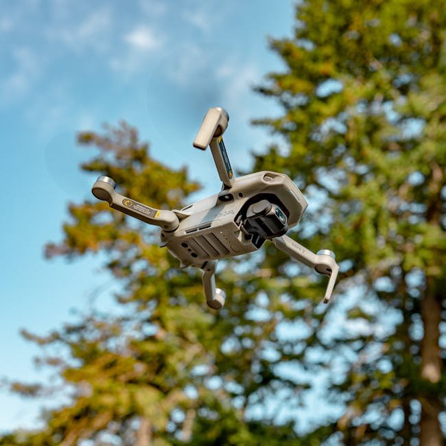 DJI Mini 2