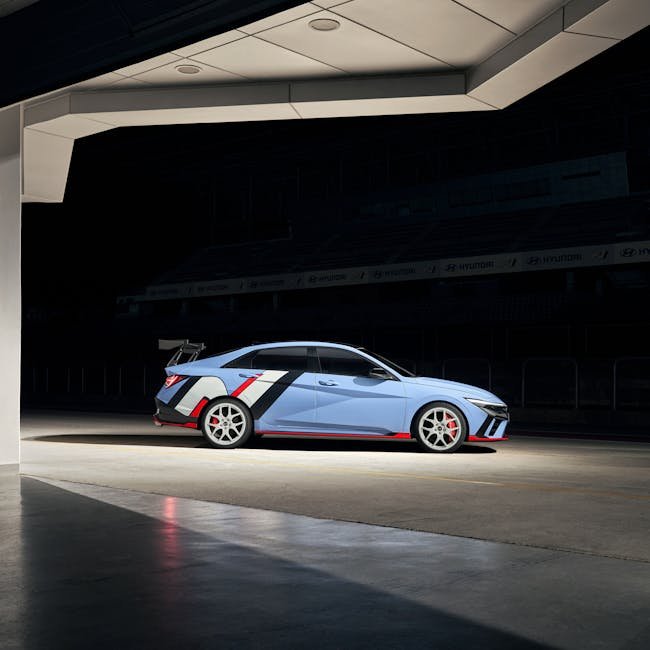 Fisher-Price Rock N Play