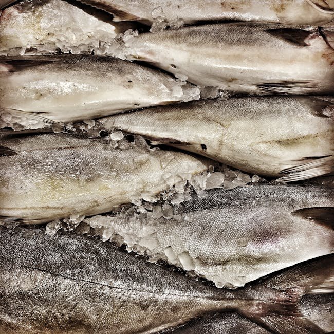 Frozen Fish 1kg