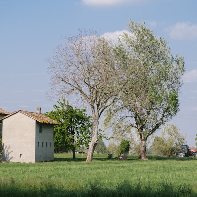 Huggies Simply Clean Wipes