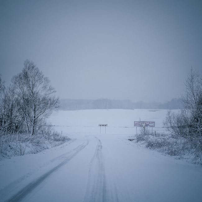 Olympus OM-D E-M5 Mark III