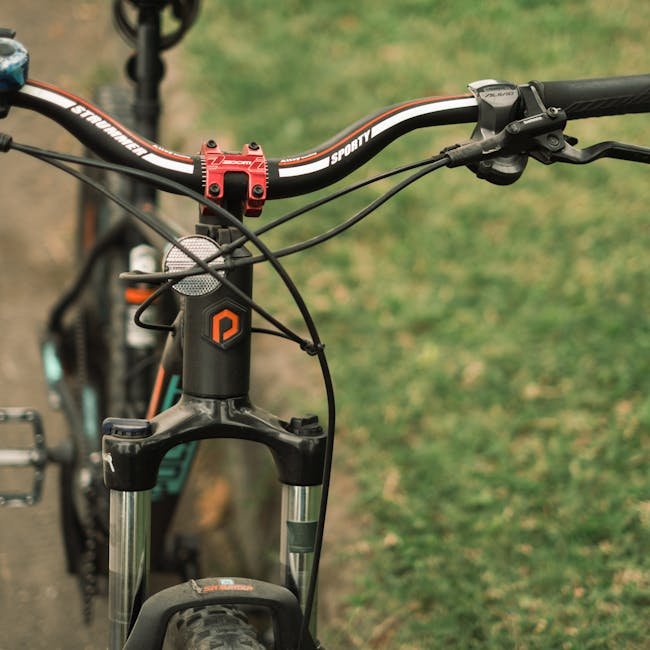 Phone Holder Bike Mount