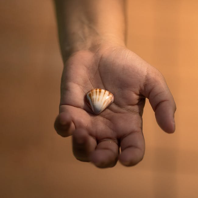 Shell Advance Ultra 10W-40