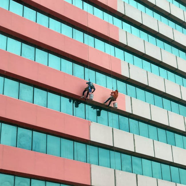 Window Cleaning